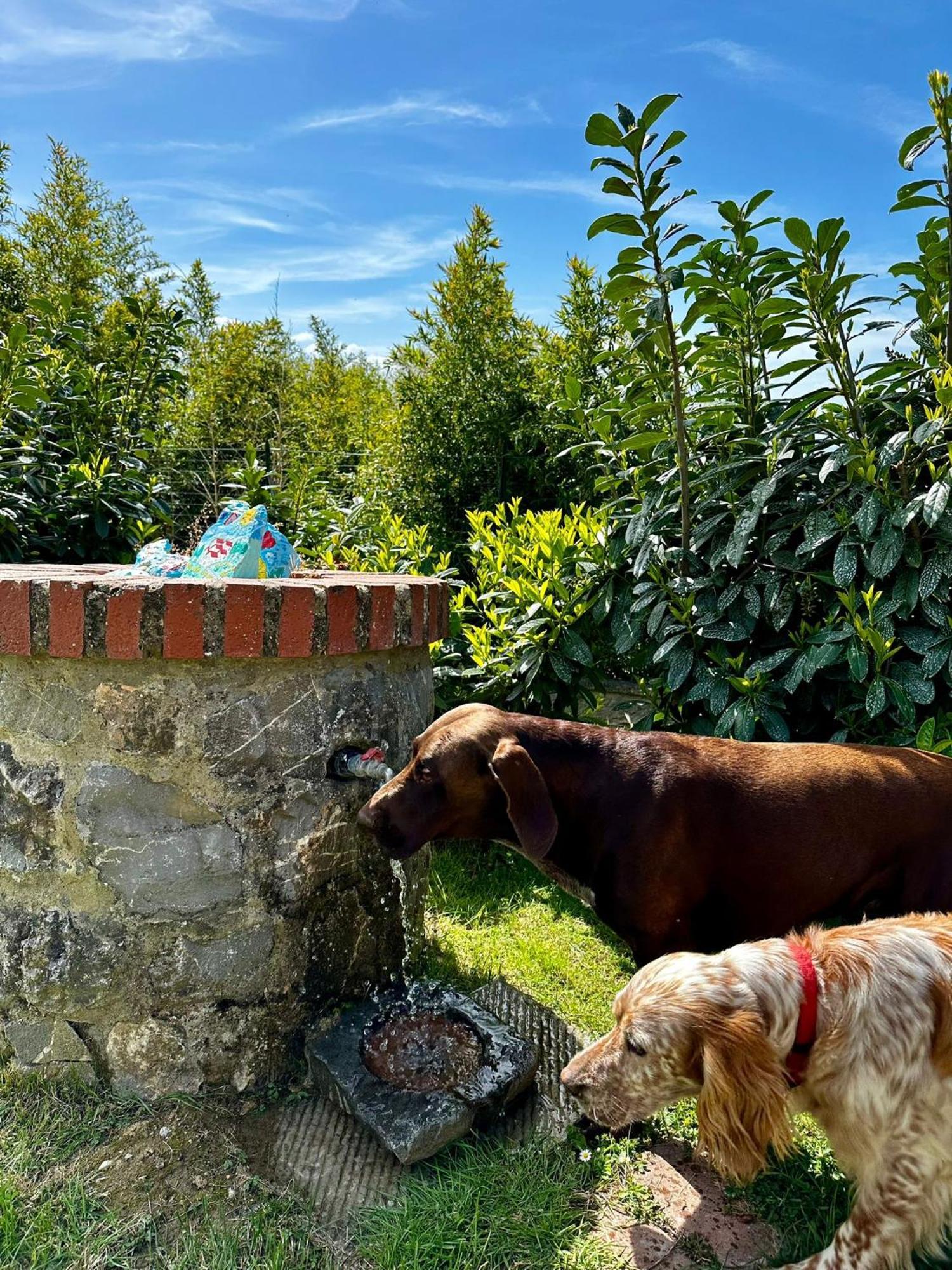 Villa Il Villino Del Daino - Toscana *