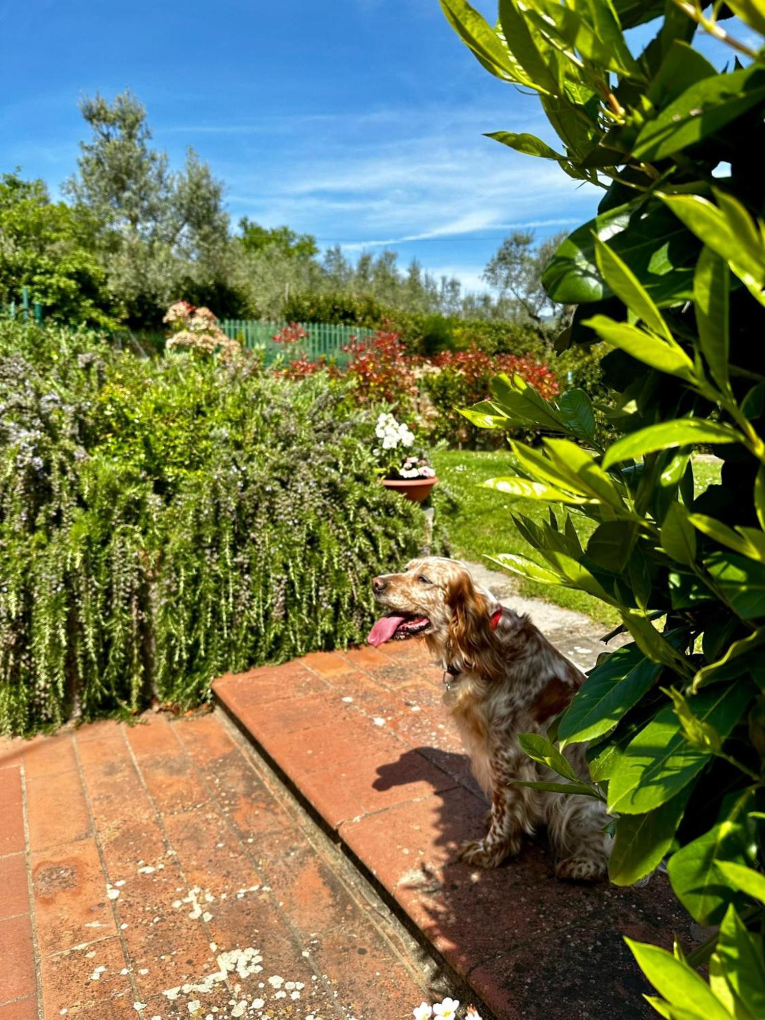 Il Villino Del Daino - Toscana * Loro Ciuffenna
